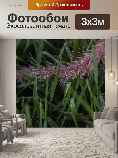 Фотообои Фонтанная трава, держащая воду
