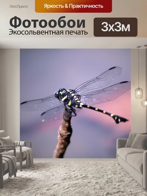 Фотообои Зеленые и черные стрекозы крупным планом