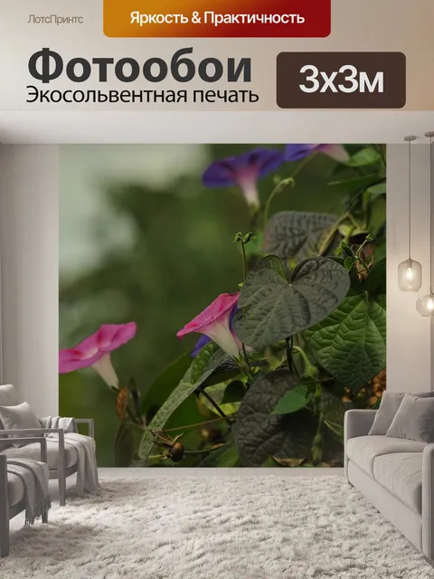 Фотообои Цветы