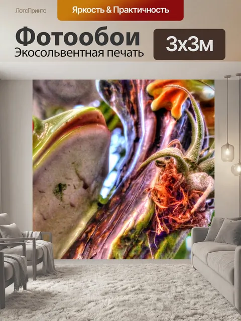 Фотообои Украшение лягушки