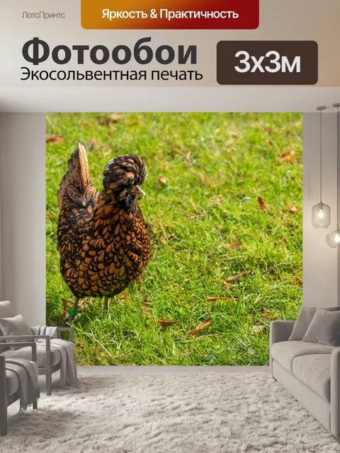 Фотообои Цыпленок на ферме