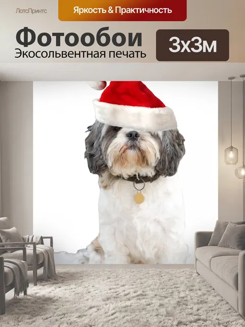 Фотообои Рождество собак Санта Hat