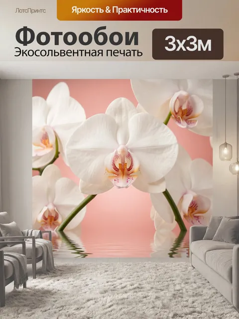 Фотообои Белые орхидеи на розовом фоне