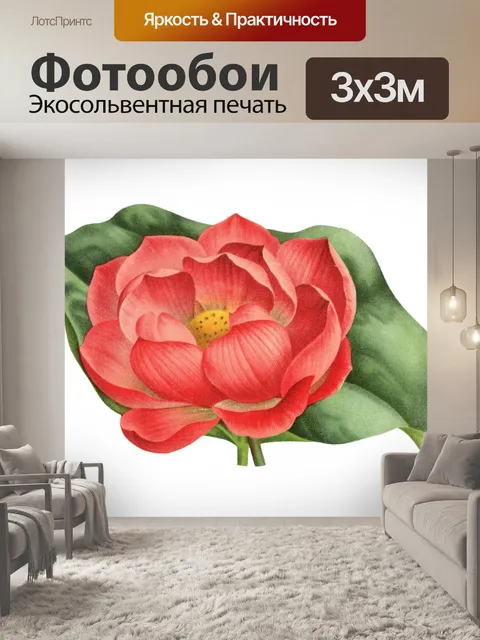 Фотообои Винтажная иллюстрация цветочного искусст