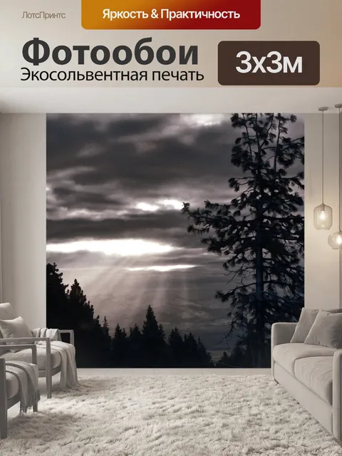 Фотообои Восход солнца в лесу