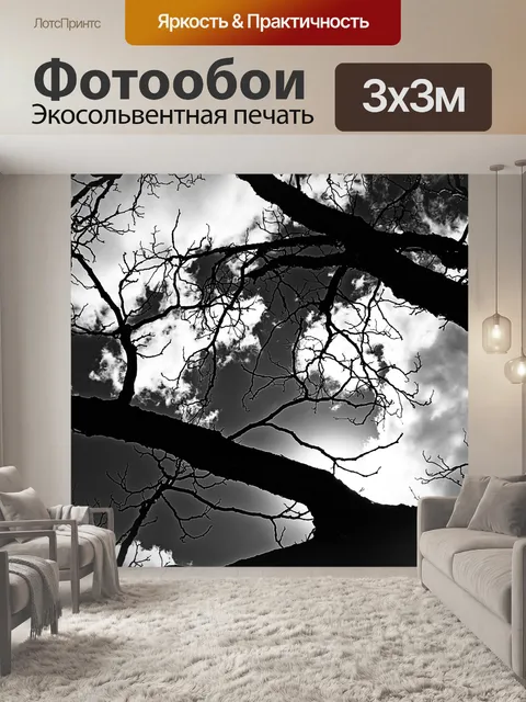 Фотообои солнце за ветвью дерева в ч / б