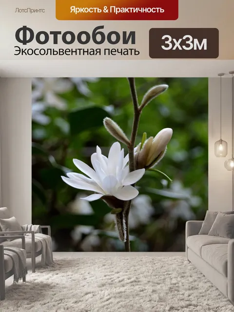 Фотообои Цветы магнолий