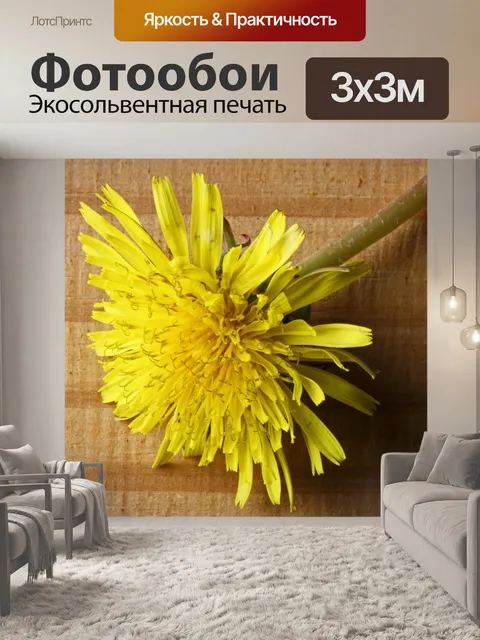 Фотообои ярко-желтый цветок одуванчика