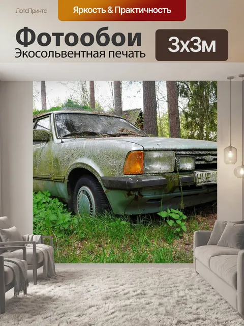 Фотообои Мшистые крушение