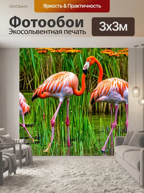 Фотообои фламинго, кормящиеся в тростниковом болоте, окруженные зелеными водорослями и яркими цветами