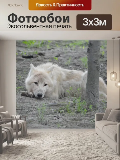 Фотообои Волк 03