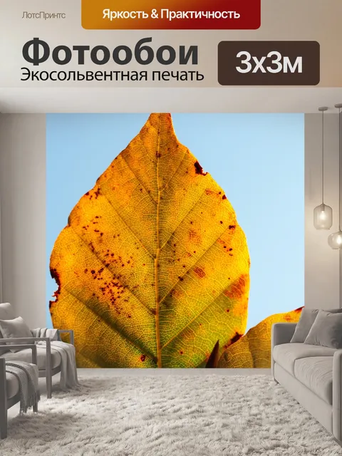 Фотообои Лист