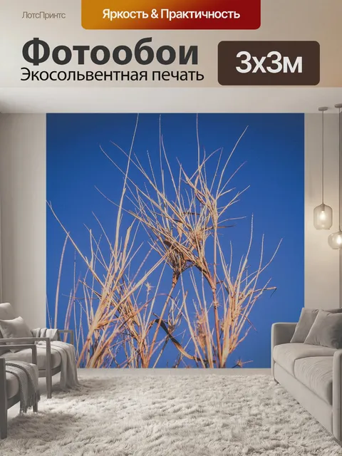 Фотообои Дикий цветок травы