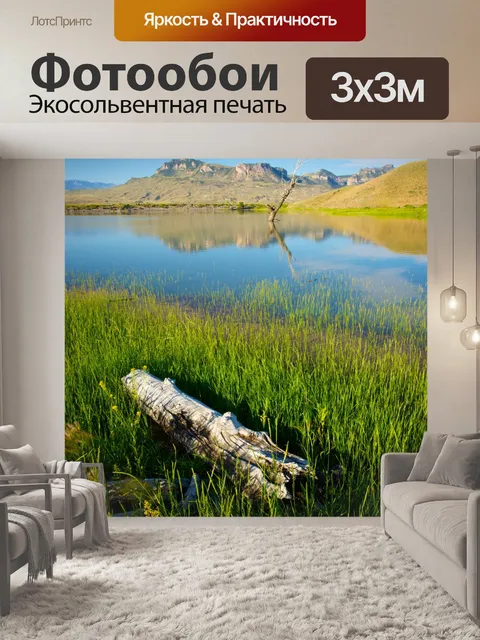 Фотообои Мертвое дерево в Марш