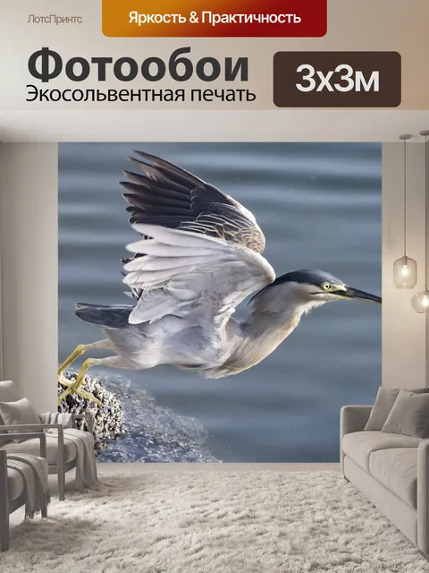 Фотообои Взлет