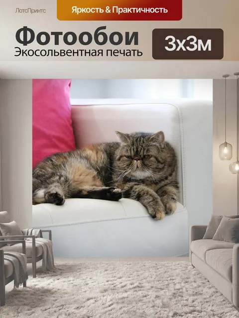 Фотообои Кошка