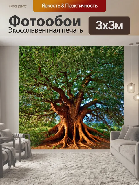 Фотообои коричневый дерева, сотни лет, с мощной листвой и корнями