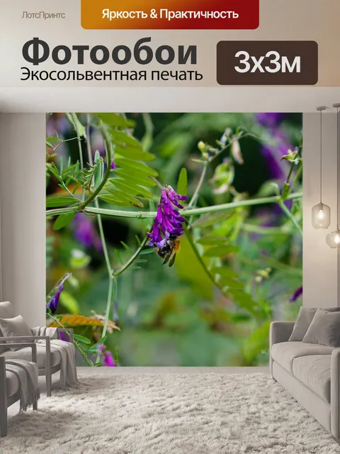Фотообои Лес