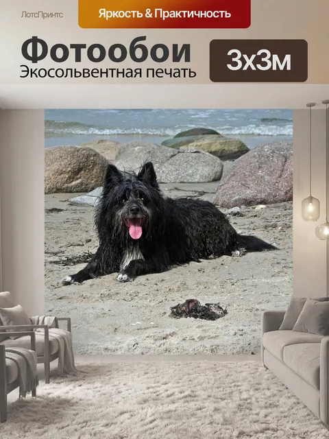 Фотообои Собака