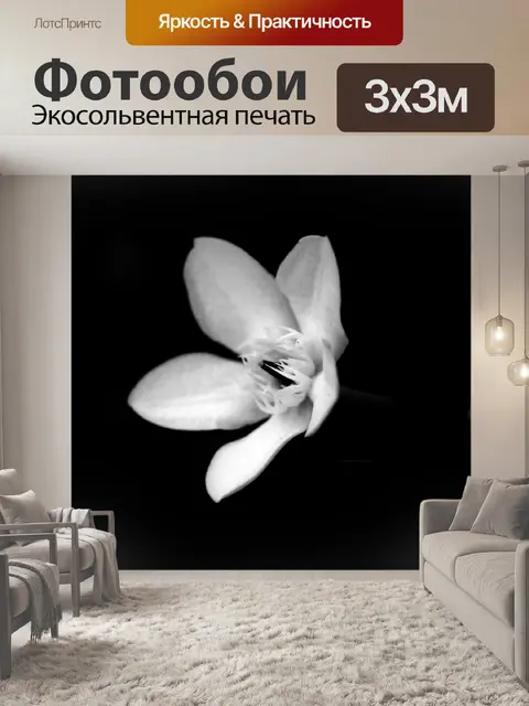 Фотообои черный и белый цветок