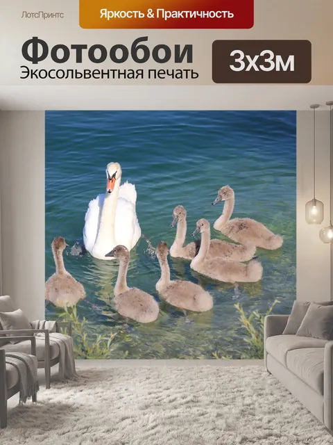 Фотообои Лебеди