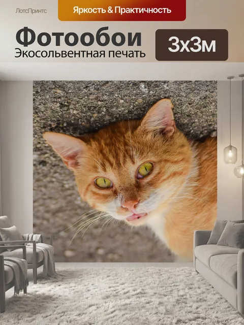 Фотообои Кошка