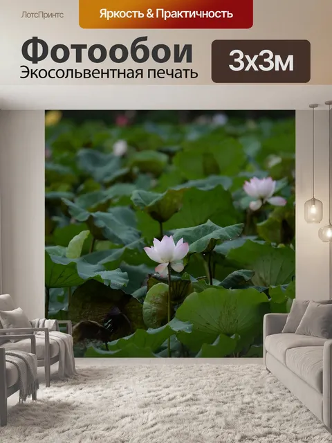 Фотообои Lotus