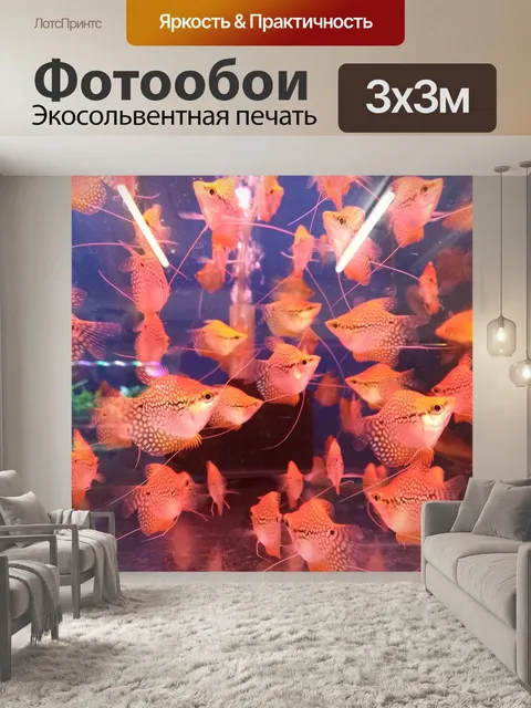 Фотообои Рыбы