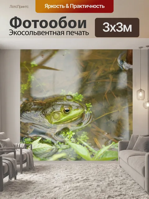 Фотообои лягушки в пруду