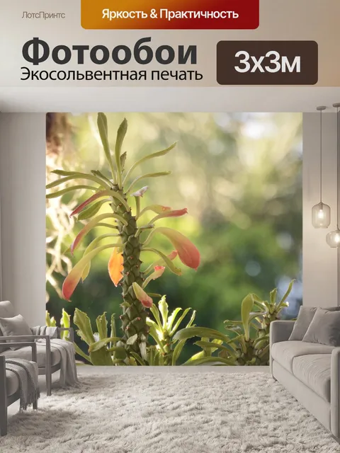 Фотообои Тропические Растения для сада