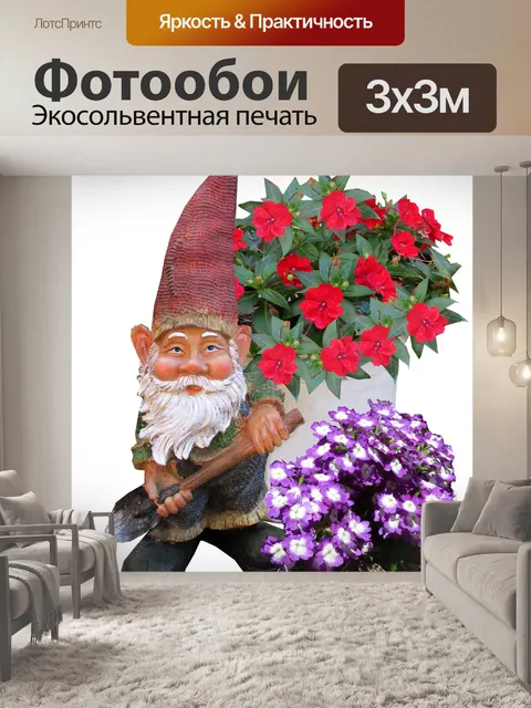 Фотообои Гном