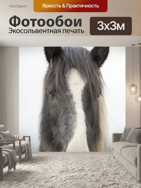 Фотообои Голова лошади