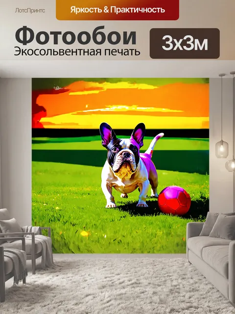 Фотообои французский бульдог играет с мячиком на зеленом газоне