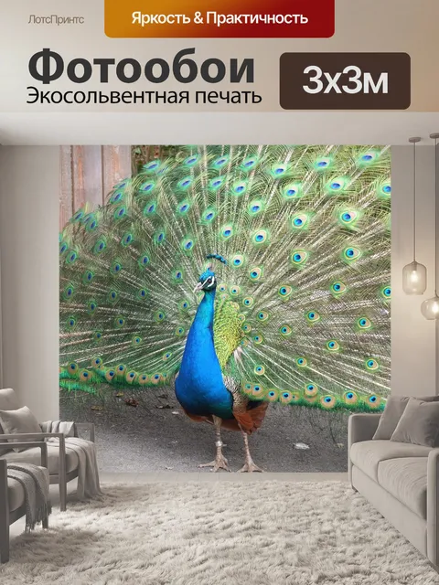 Фотообои Павлин