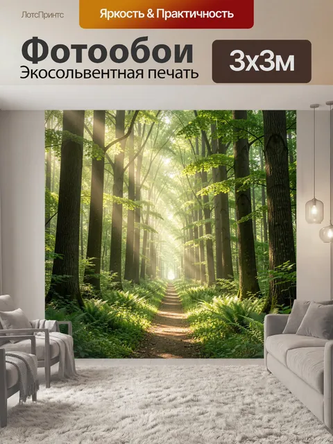 Фотообои Солнечная лесная тропа