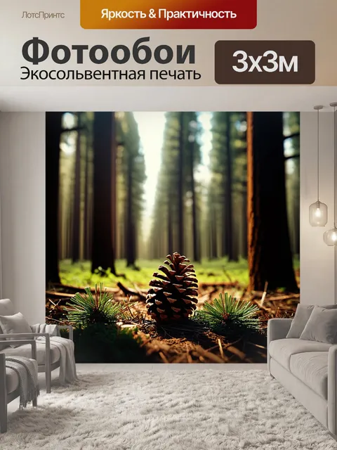 Фотообои вечерний лес с высокими соснами, где под слоем игл на земле притаилась сосновая шишка