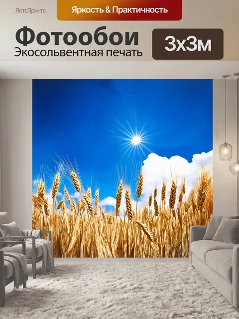 Фотообои созревшая пшеница, устремившаяся к небесам, гордо колышется на фоне ярко-голубого летнего неба