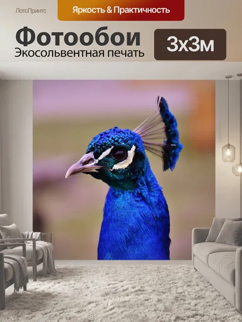 Фотообои Павлин