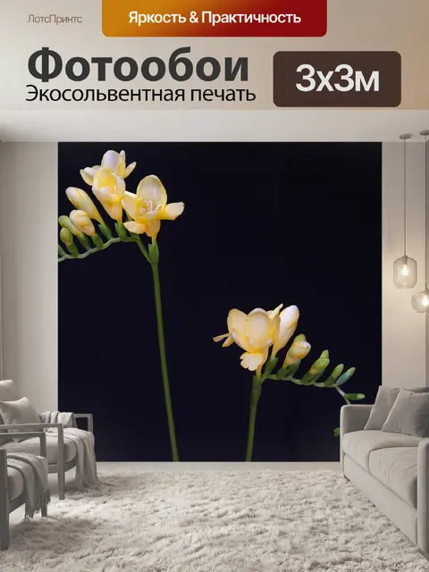 Фотообои Цветок