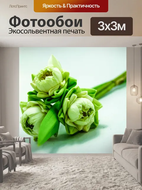 Фотообои Цветок белого лотоса