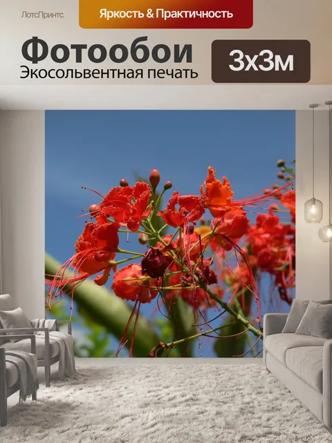 Фотообои Цветы