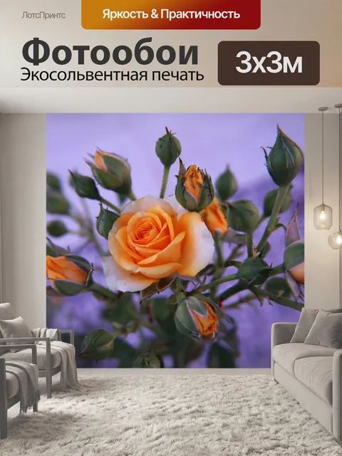 Фотообои Персиковые кустовые розы