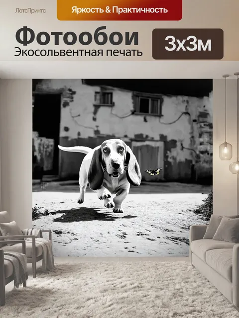 Фотообои на фоне старинного здания бассет весело гонится за бабочкой
