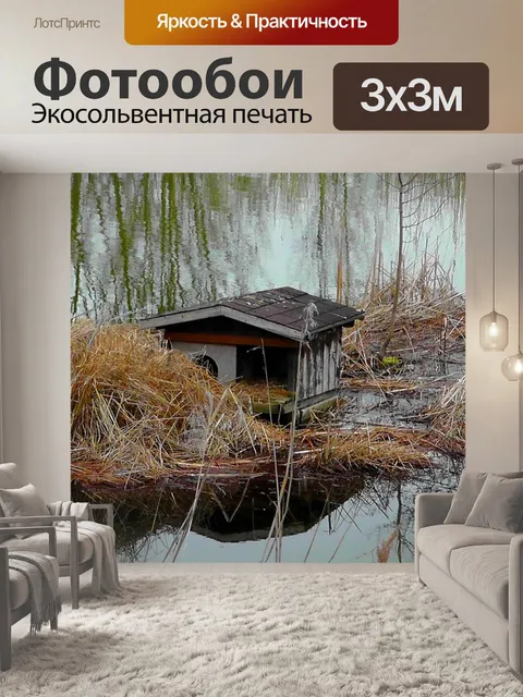 Фотообои Утиный домик