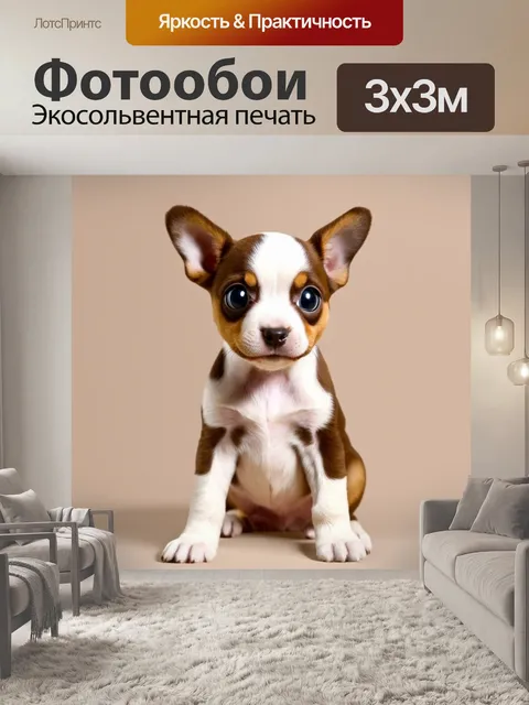 Фотообои Щенок с большими выразительными глазами, бело-коричневой шерстью, сидит на нейтральном фоне