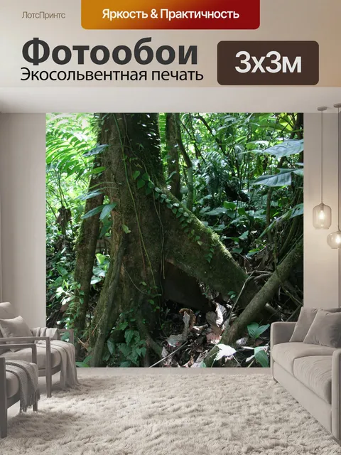 Фотообои Коста-Рика Дерево