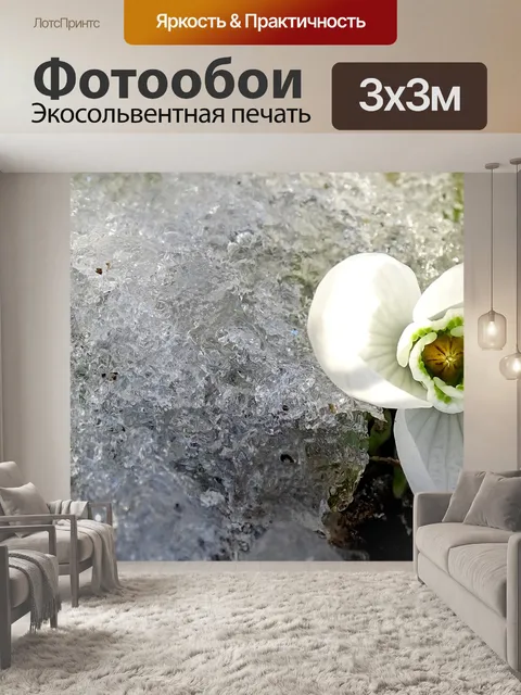 Фотообои Цветы