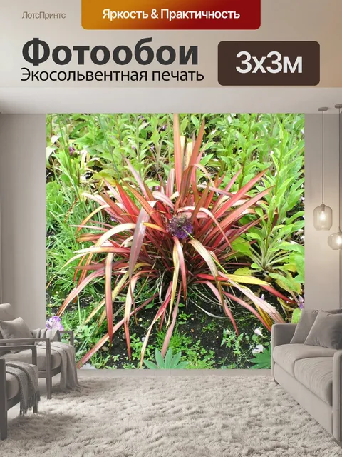 Фотообои Оранжевый Буш завод