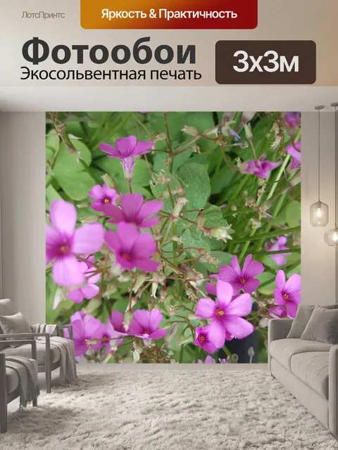 Фотообои Светло-фиолетовые цветы