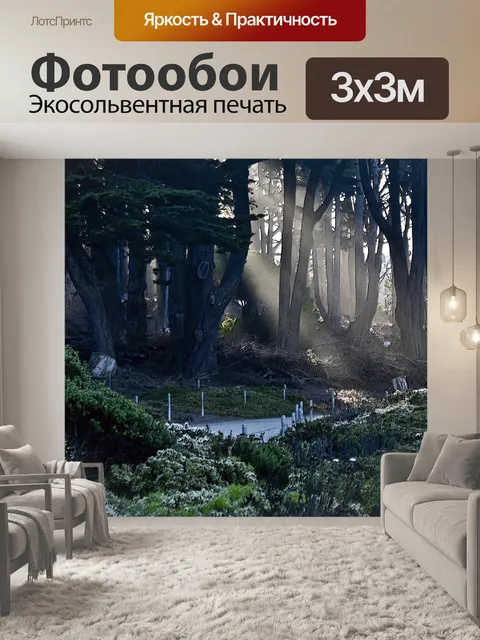 Фотообои Свет на Пути